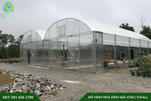 Mẫu nhà kính mái vòm cong