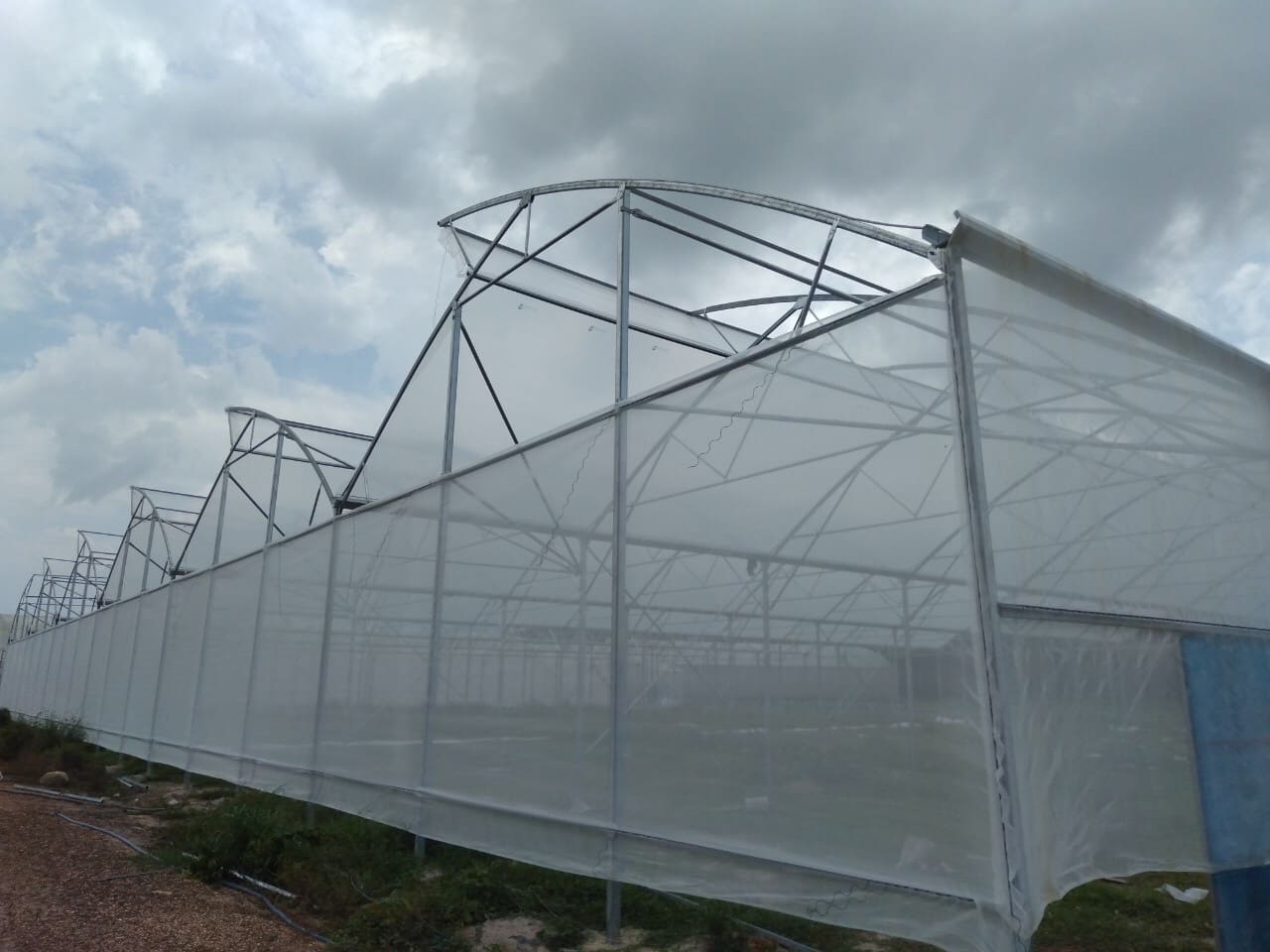 Nhà kính mái hở cố định 1 bên