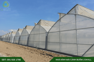 Nhà màng kính mái hở hình cánh bướm